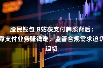 股民钱包 B站获支付牌照背后：靠支付业务赚钱难，监管合规需求迫切