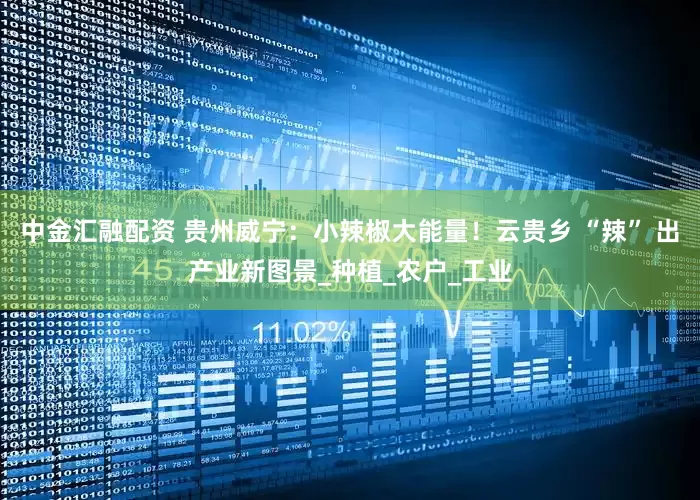 中金汇融配资 贵州威宁：小辣椒大能量！云贵乡 “辣” 出产业新图景_种植_农户_工业