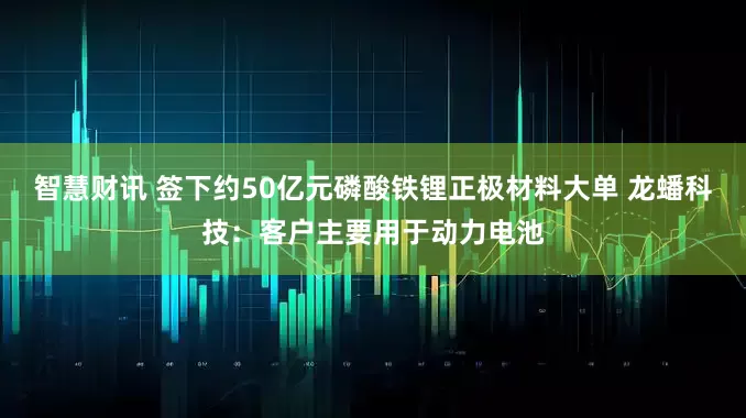 智慧财讯 签下约50亿元磷酸铁锂正极材料大单 龙蟠科技：客户主要用于动力电池
