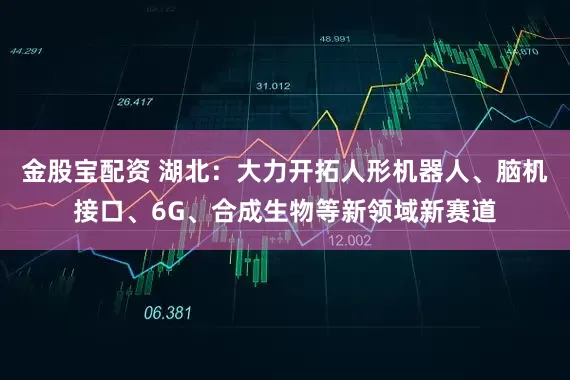 金股宝配资 湖北：大力开拓人形机器人、脑机接口、6G、合成生物等新领域新赛道